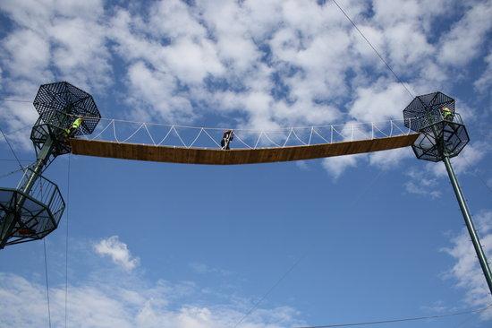 Wired Zip Line Challenge